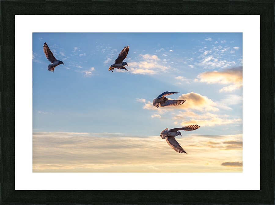 Fallen Angels Picture Frame print