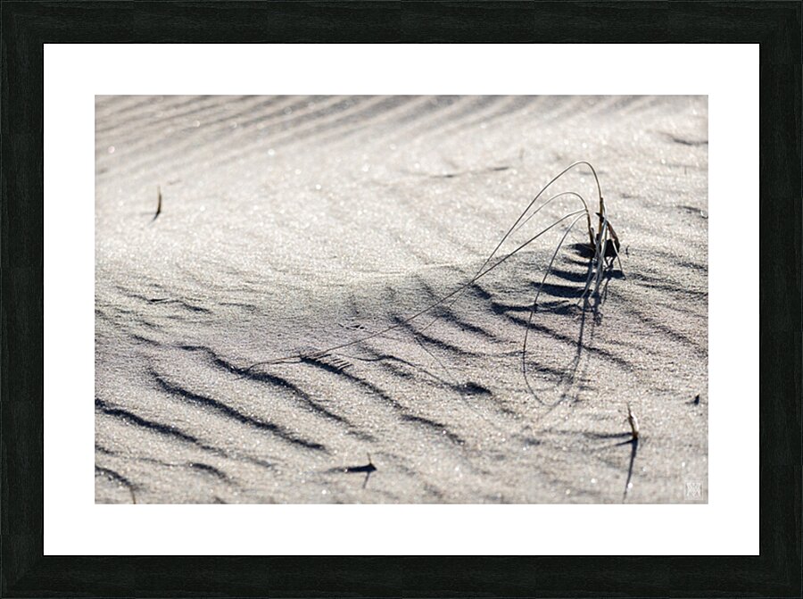 Nature Sketch Picture Frame print