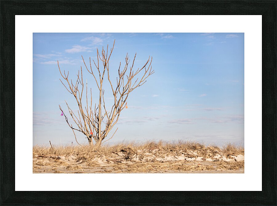 De Shoveled Picture Frame print