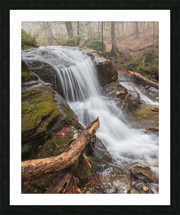 Disenthrall Picture Frame print