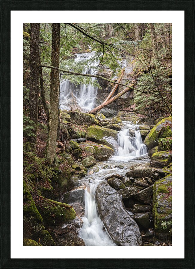 Babbling Picture Frame print