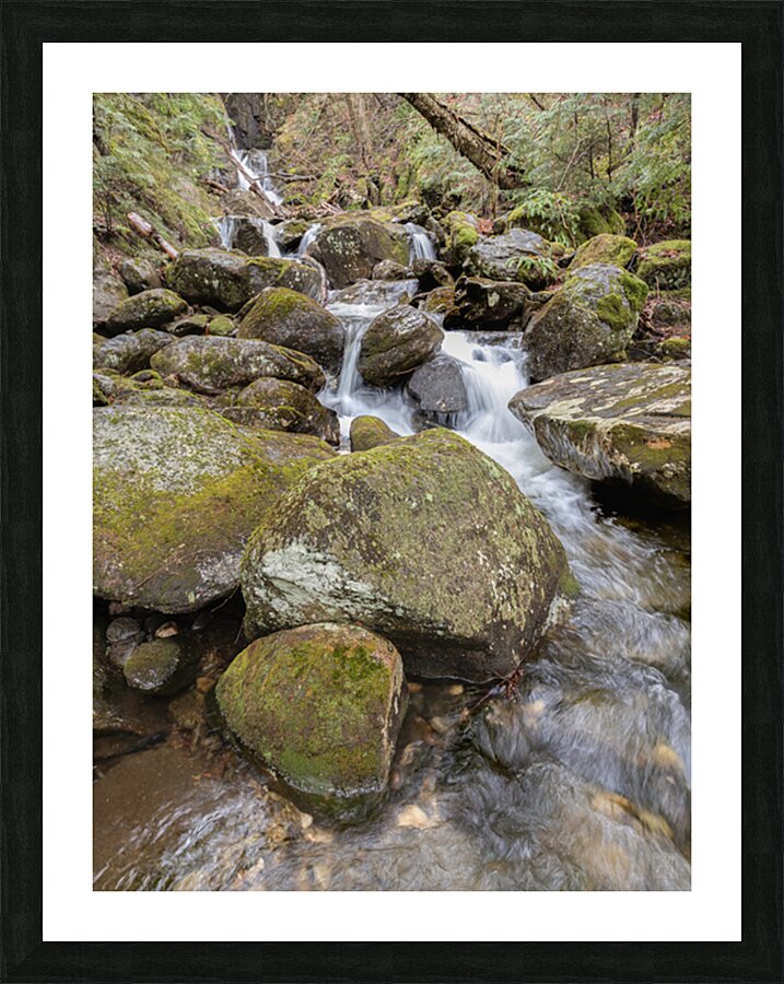 Relentless Picture Frame print
