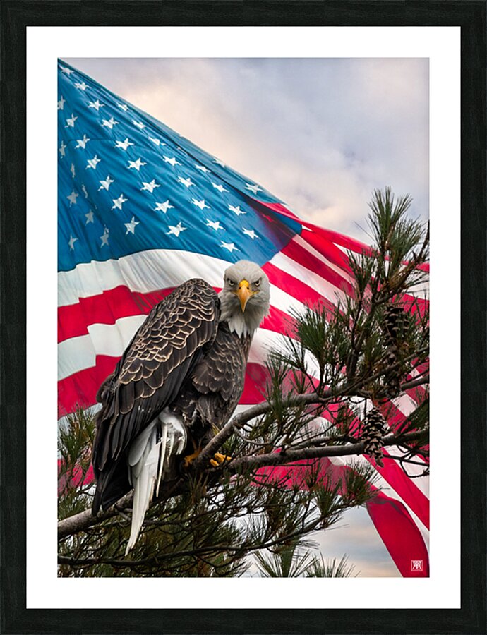 American Eagle Picture Frame print