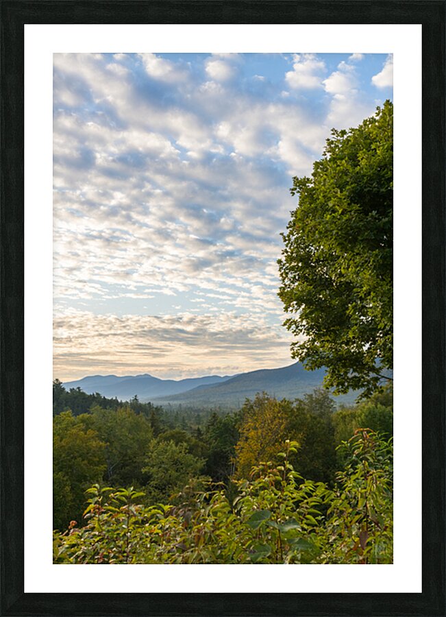 Morning View Picture Frame print