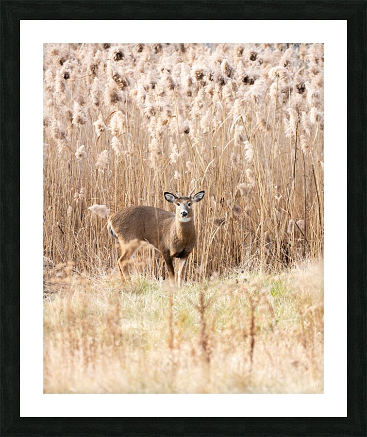 Blending Picture Frame print
