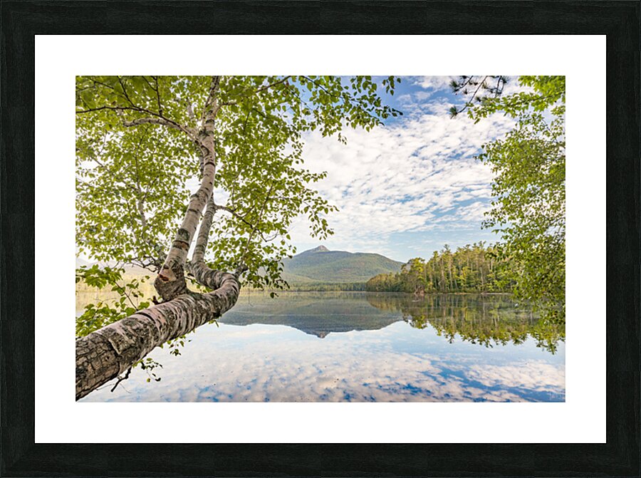 Aubreys View Picture Frame print