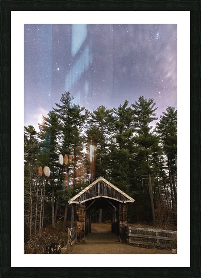 In the Pines Picture Frame print