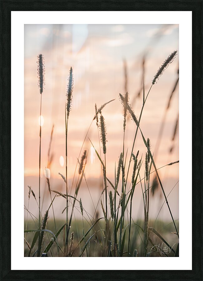 Weeds in the Wind Picture Frame print