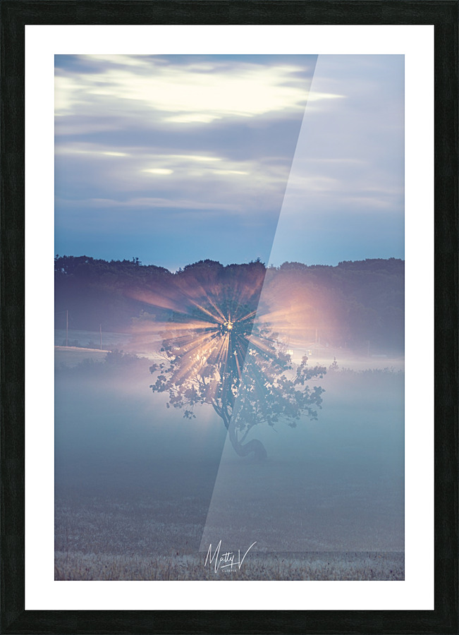 Shining in Solitude Picture Frame print