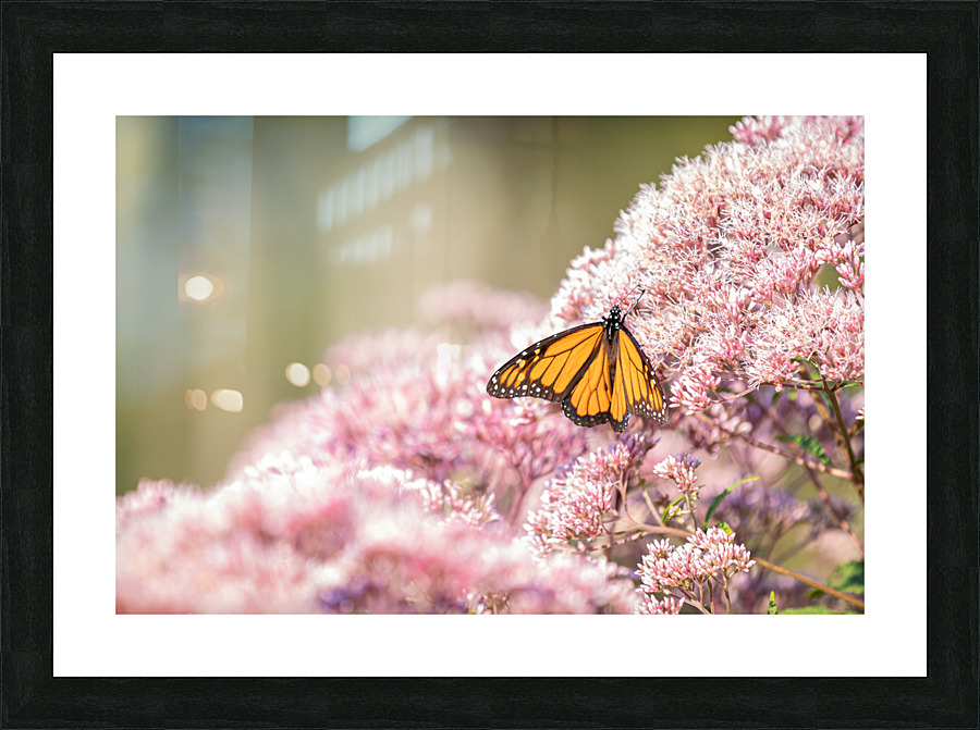 Destiny Determined Picture Frame print