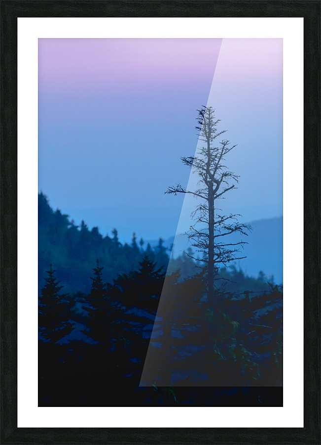 Standing Out Picture Frame print