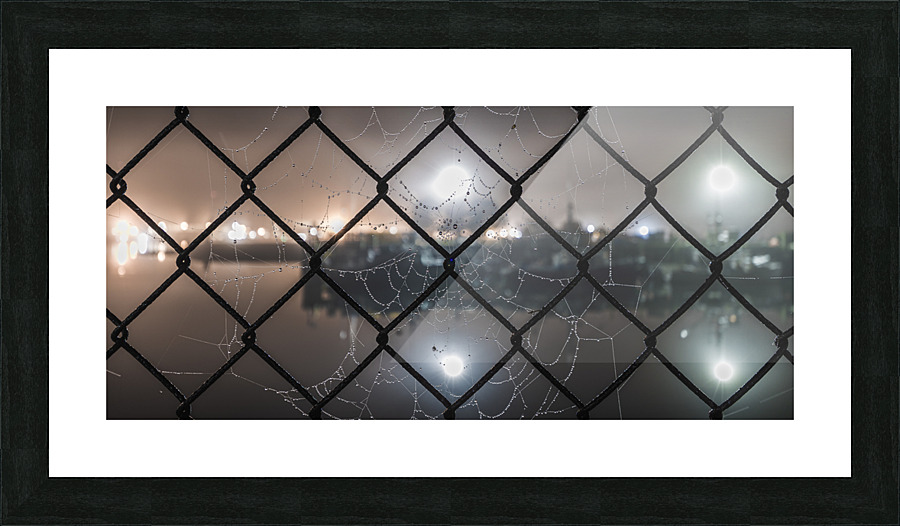 Web Links Picture Frame print