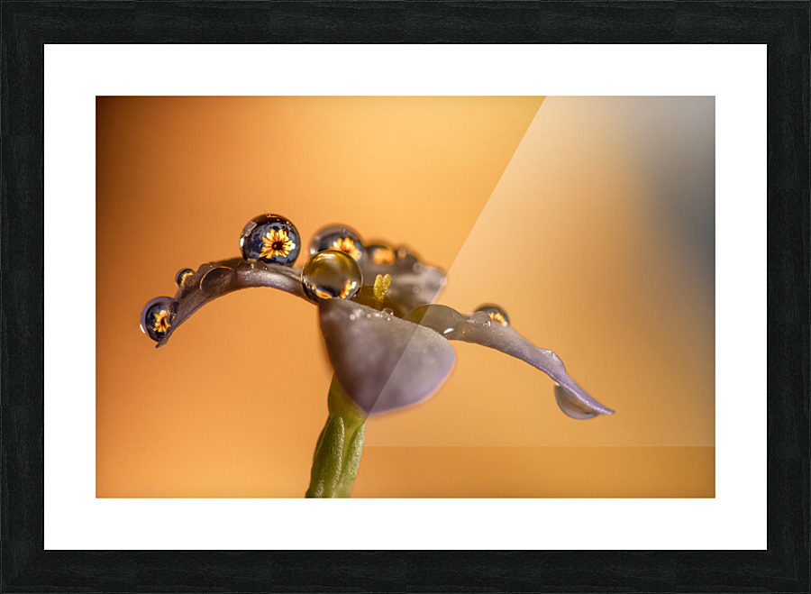 Worlds Within Picture Frame print