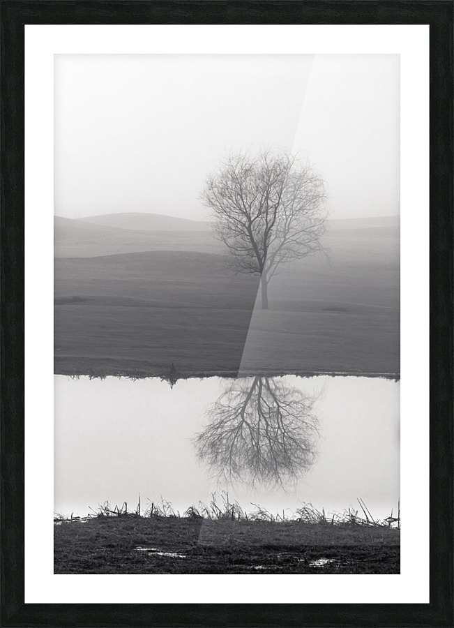 Vanity Picture Frame print