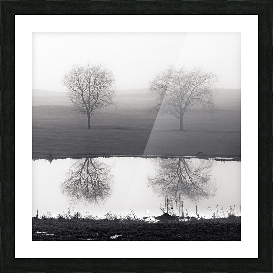 Dyad Picture Frame print