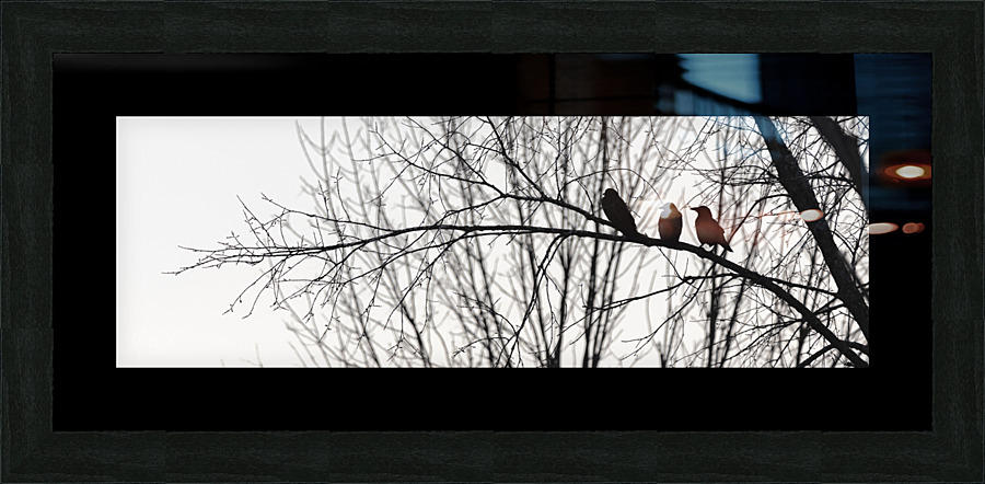 Attempted Murder Picture Frame print