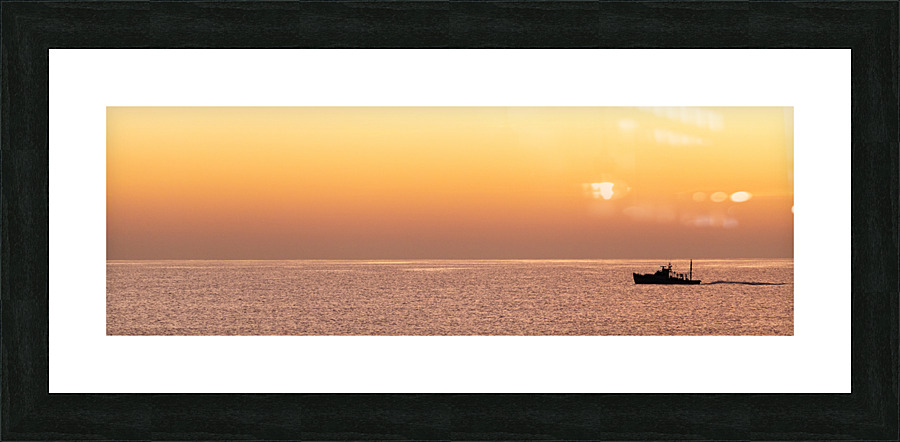 Trap and Retrieve Picture Frame print