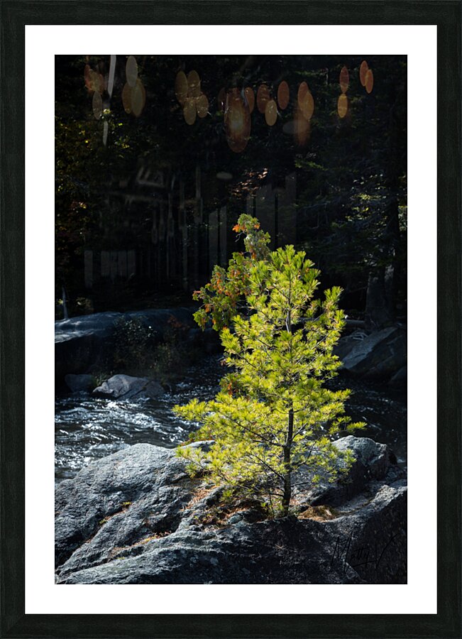 Persistence Picture Frame print
