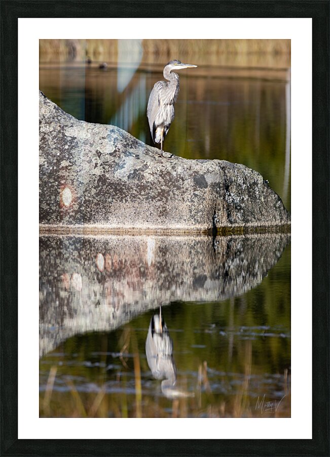 Silver Suave Picture Frame print