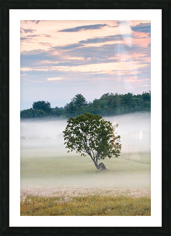 Forlorn Picture Frame print