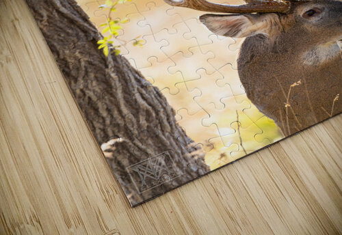 Trail Mix Matty V clixpix puzzle