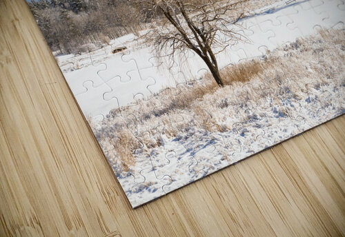 Dusted Days Matty V clixpix puzzle