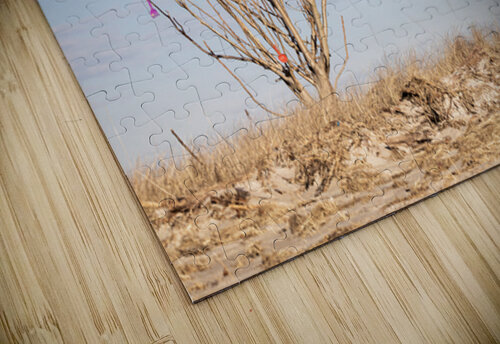 De Shoveled Matty V clixpix puzzle