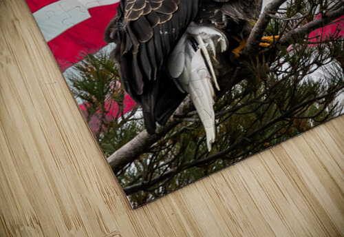 American Eagle Matty V clixpix puzzle