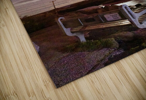 Auroras Waltz Matty V clixpix puzzle