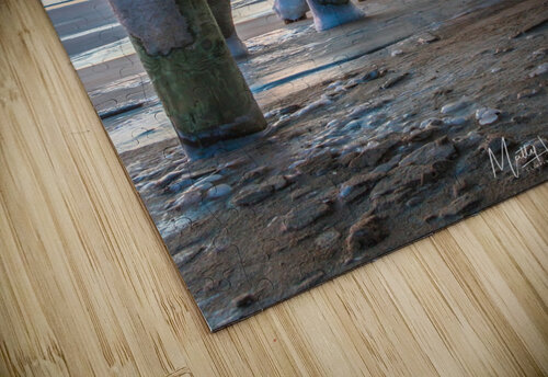 Under the Pier Matty V clixpix puzzle