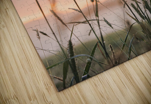 Weeds in the Wind Matty V clixpix puzzle