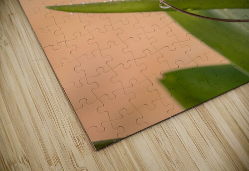Sprung Matty V clixpix puzzle