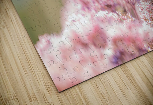 Destiny Determined Matty V clixpix puzzle