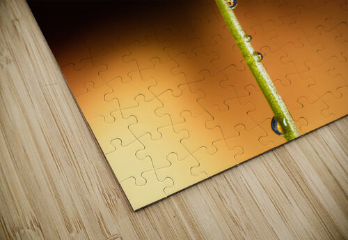 Delicate Dancer Matty V clixpix puzzle