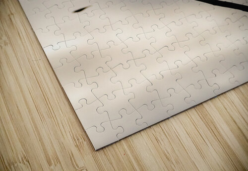 Sentinel Matty V clixpix puzzle