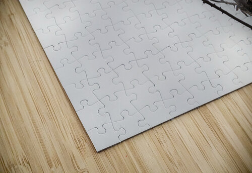 Tango Matty V clixpix puzzle