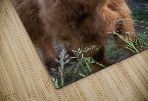 Hay there  Matty V clixpix puzzle