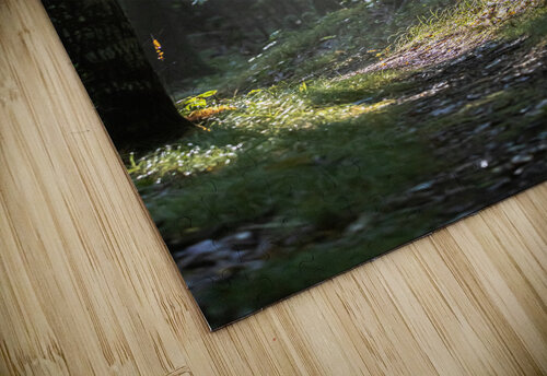 Pathways Matty V clixpix puzzle