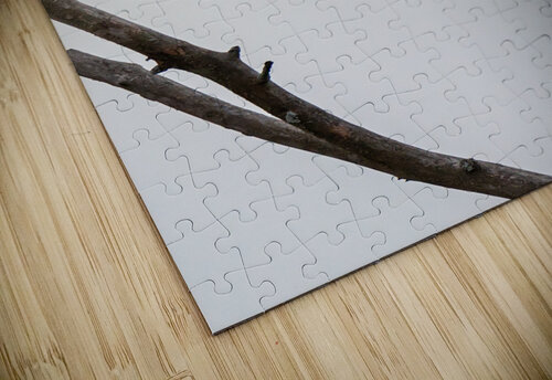 Locked and Loaded Matty V clixpix puzzle