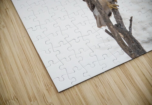 Grocery Shopping Matty V clixpix puzzle