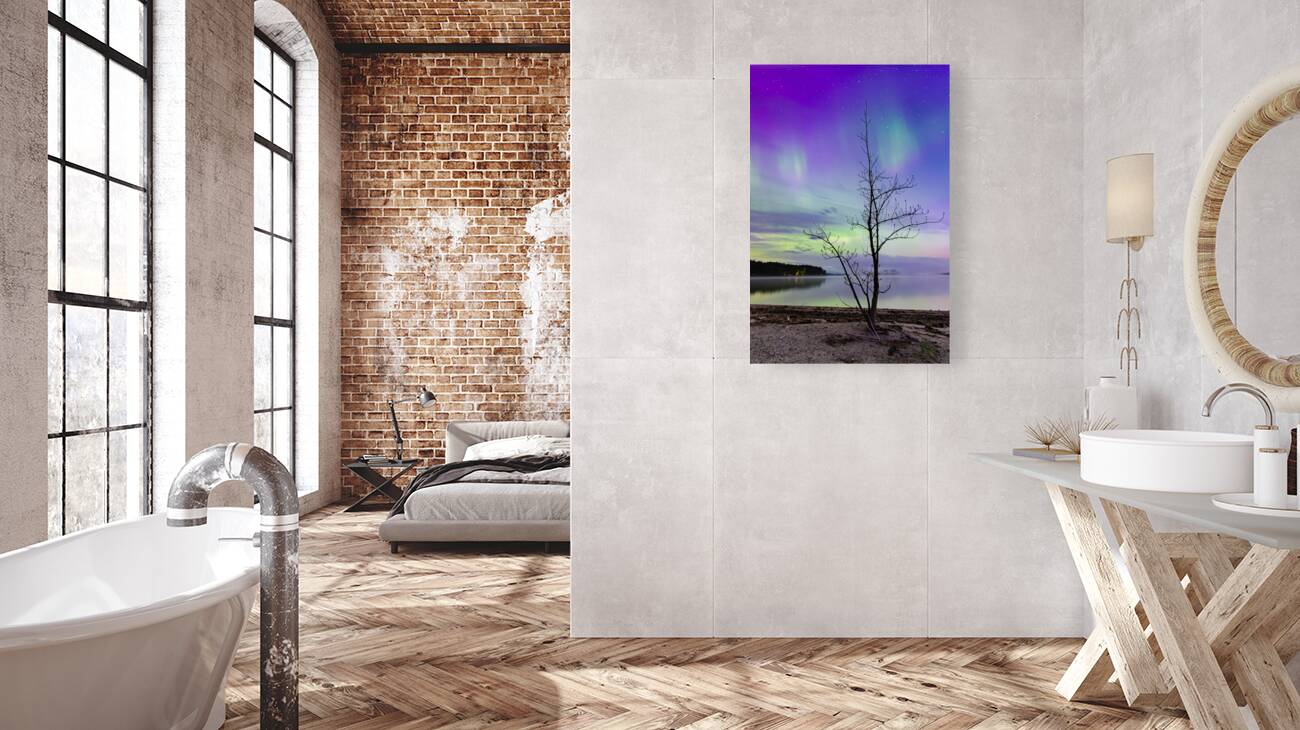 Skylights Tango Reproduction