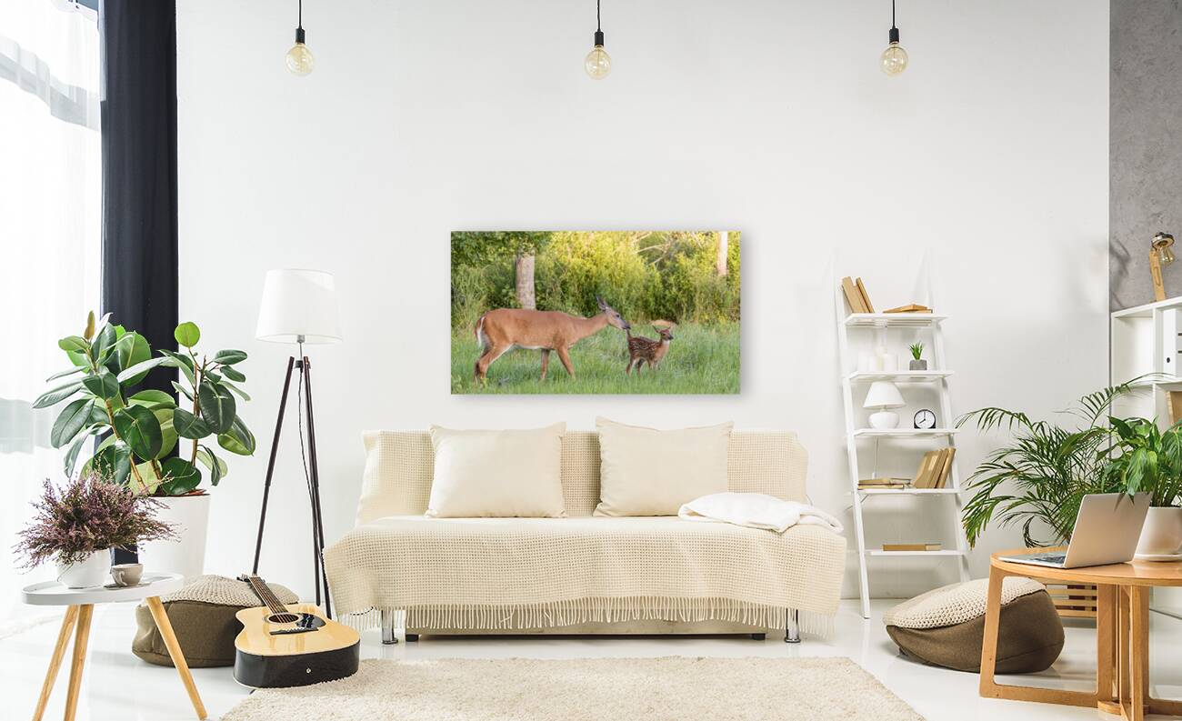 Wait a Second Bambi Reproduction