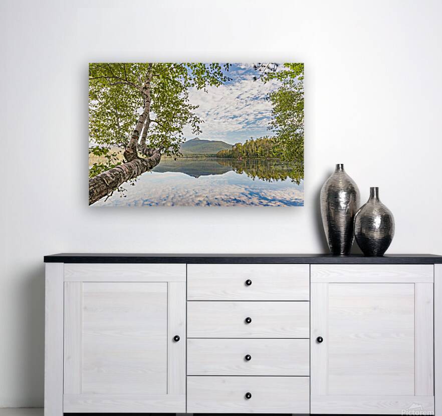 Aubreys View Reproduction