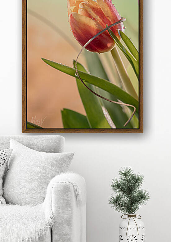 Sprung by Matty V clixpix