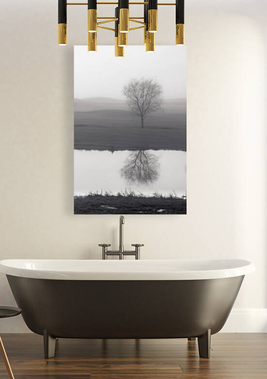 Vanity Reproduction