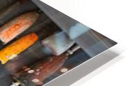 Yesterdays Catch HD Metal print