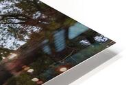 Homeland HD Metal print