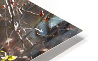 Trail Mix HD Metal print
