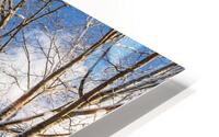 St. Peters HD Metal print