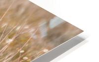 Contact HD Metal print